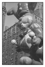 Black and White Photography