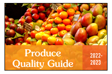 Island Harvest Brochure