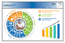 IBM Placemat