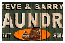 Steve & Barry's Panel 